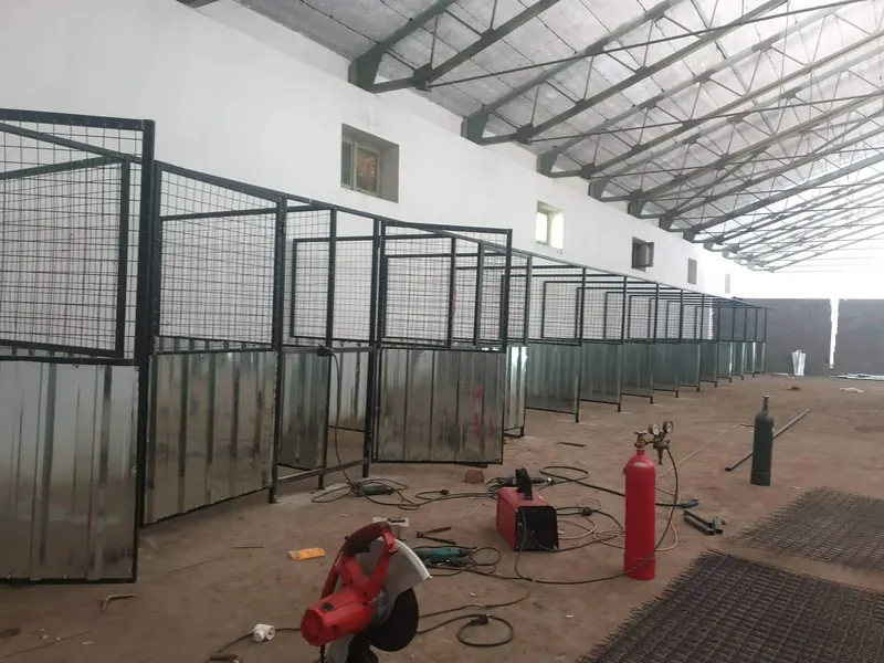 A shelter for stray dogs in Gostivar